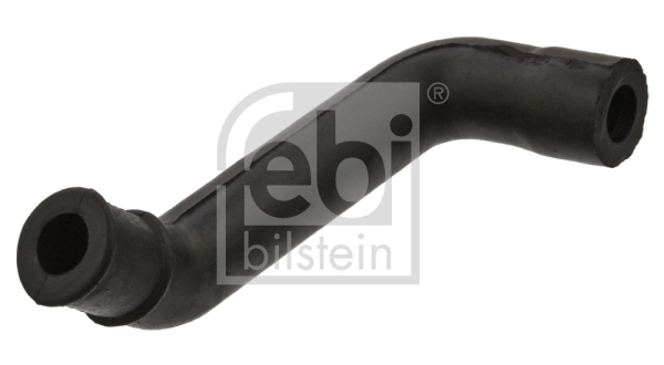Hose, crankcase ventilation